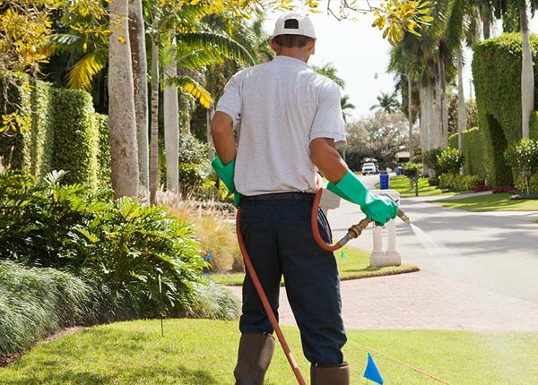 About Nelsonville WI Pest Control
